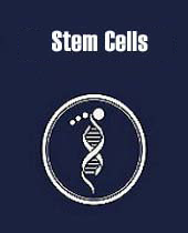 2nd Edition of International Conference on Cell & Stem Cell Research