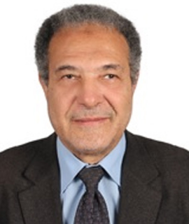 Speaker at Cell & Stem Cell Research 2022 - Ahmed G Hegazi